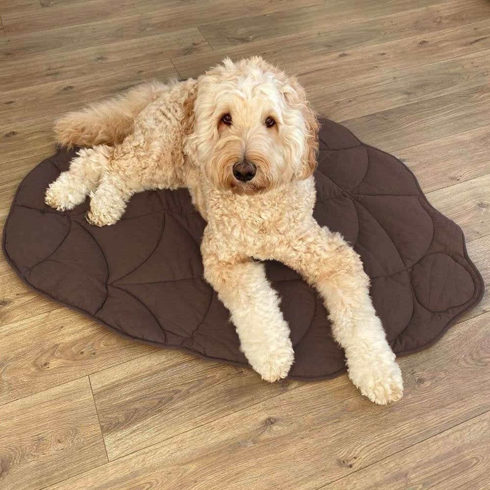 Leaf Shape Dog Blanket – Soft, Durable Pet Mat for Cozy Comfort and All Sizes – Machine Washable
