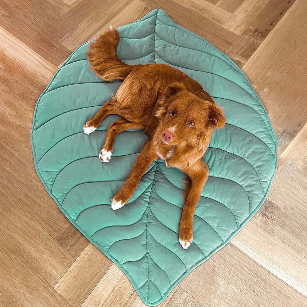 Leaf Shape Dog Blanket – Soft, Durable Pet Mat for Cozy Comfort and All Sizes – Machine Washable