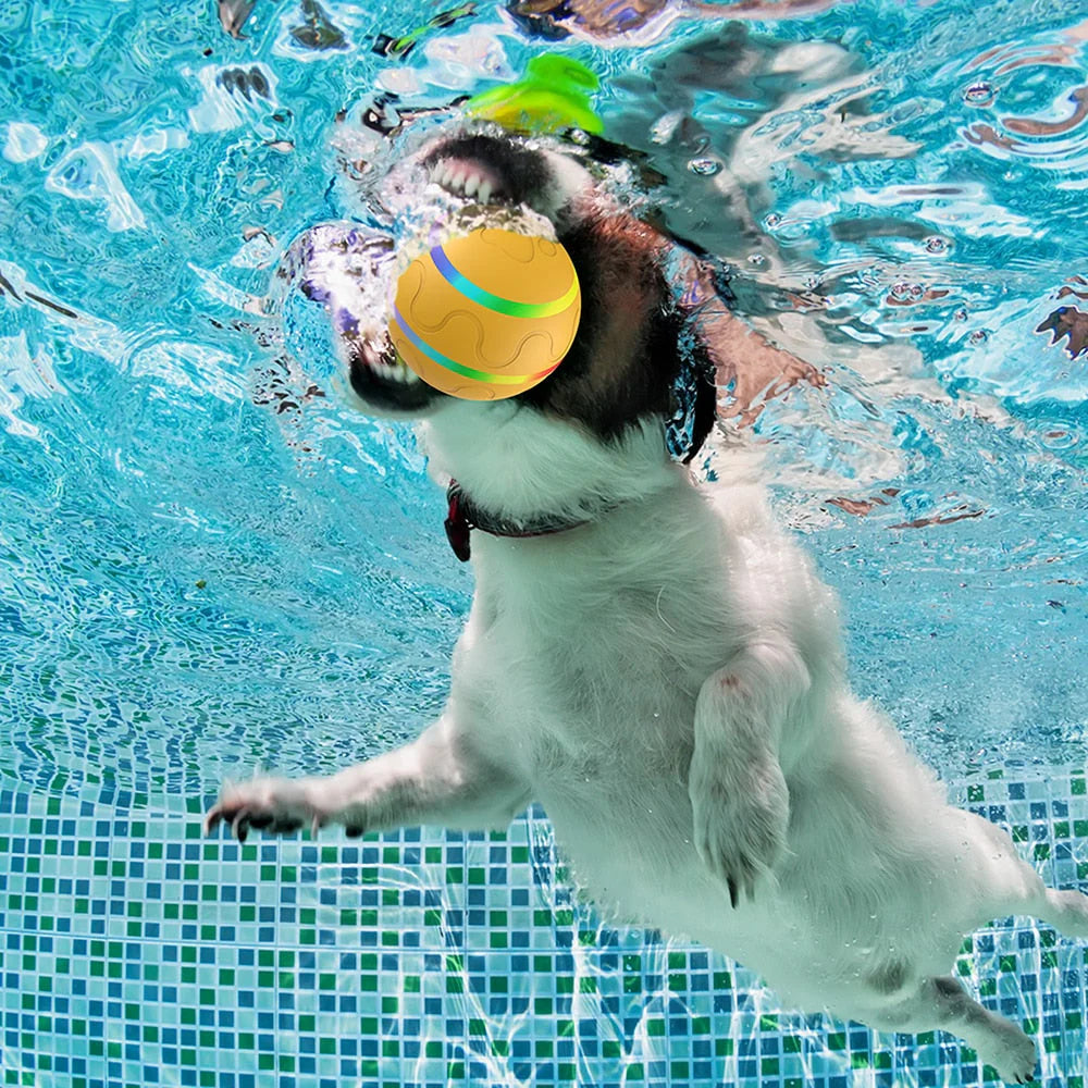 Pet Dog Cat Smart Toys Automatic Rolling Ball Electric Interactive