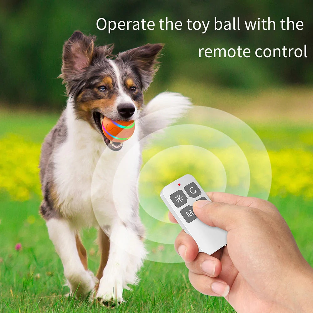 Pet Dog Cat Smart Toys Automatic Rolling Ball Electric Interactive